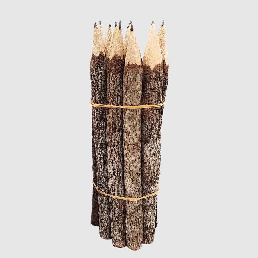 Favorite Things Zero Waste Daniel Teak-Wood Pencil (Set Of 4) 7"