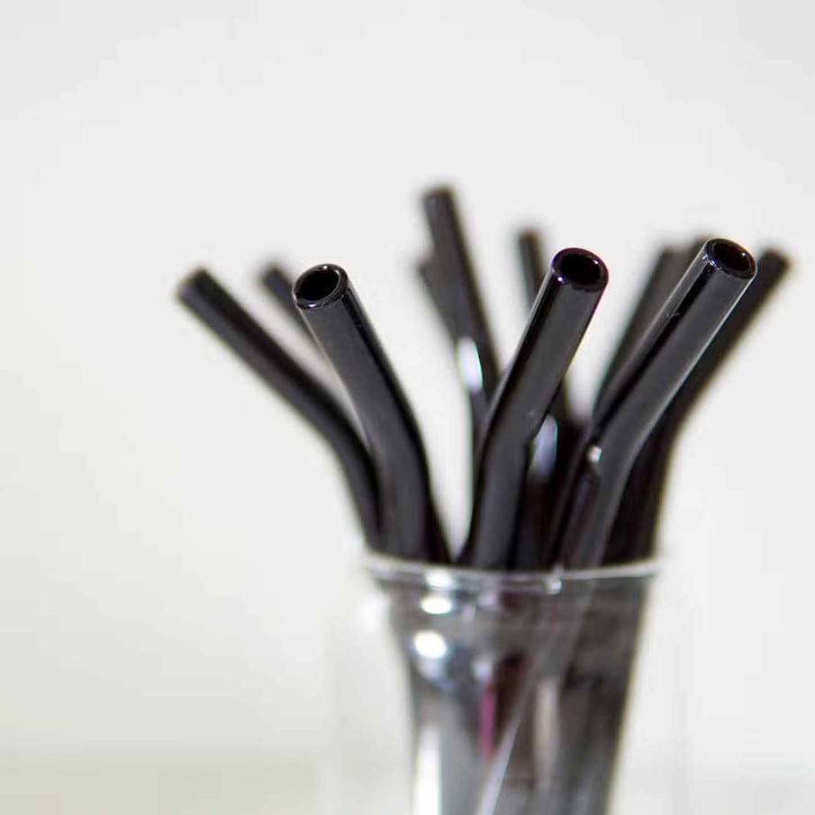 Favorite Things Zero Waste Daniel Forest Home Glass Straw (Black)