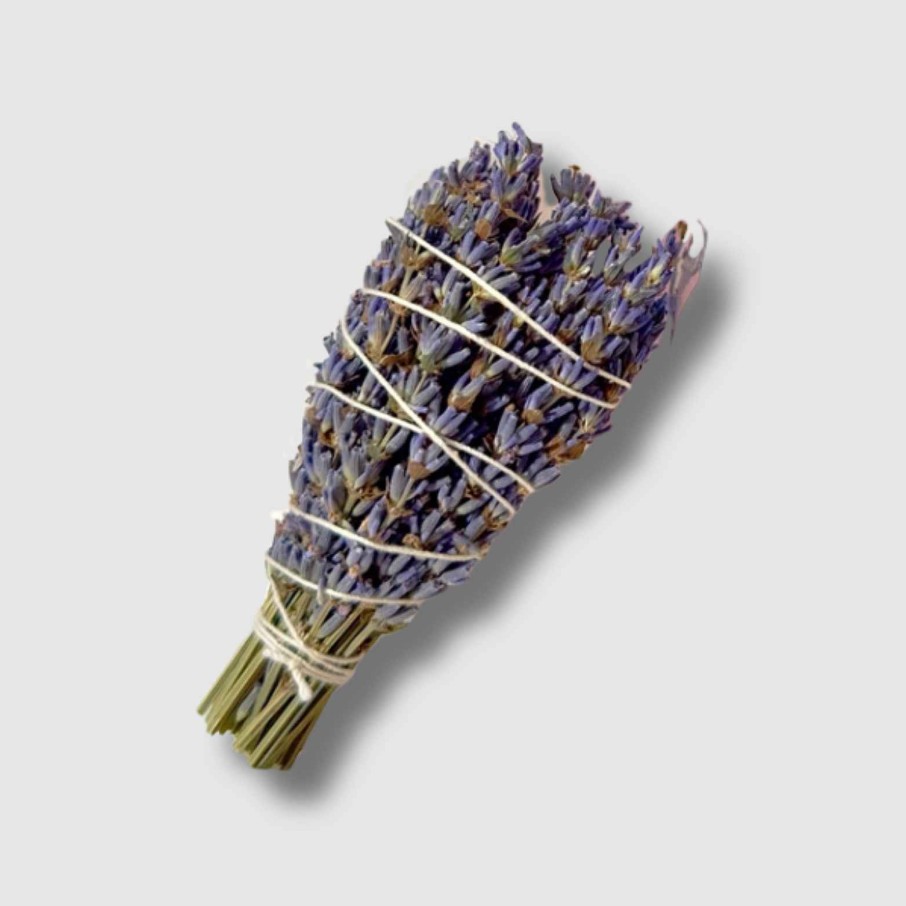 Favorite Things Zero Waste Daniel Mini Lavender Bundle